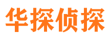 塔河侦探公司